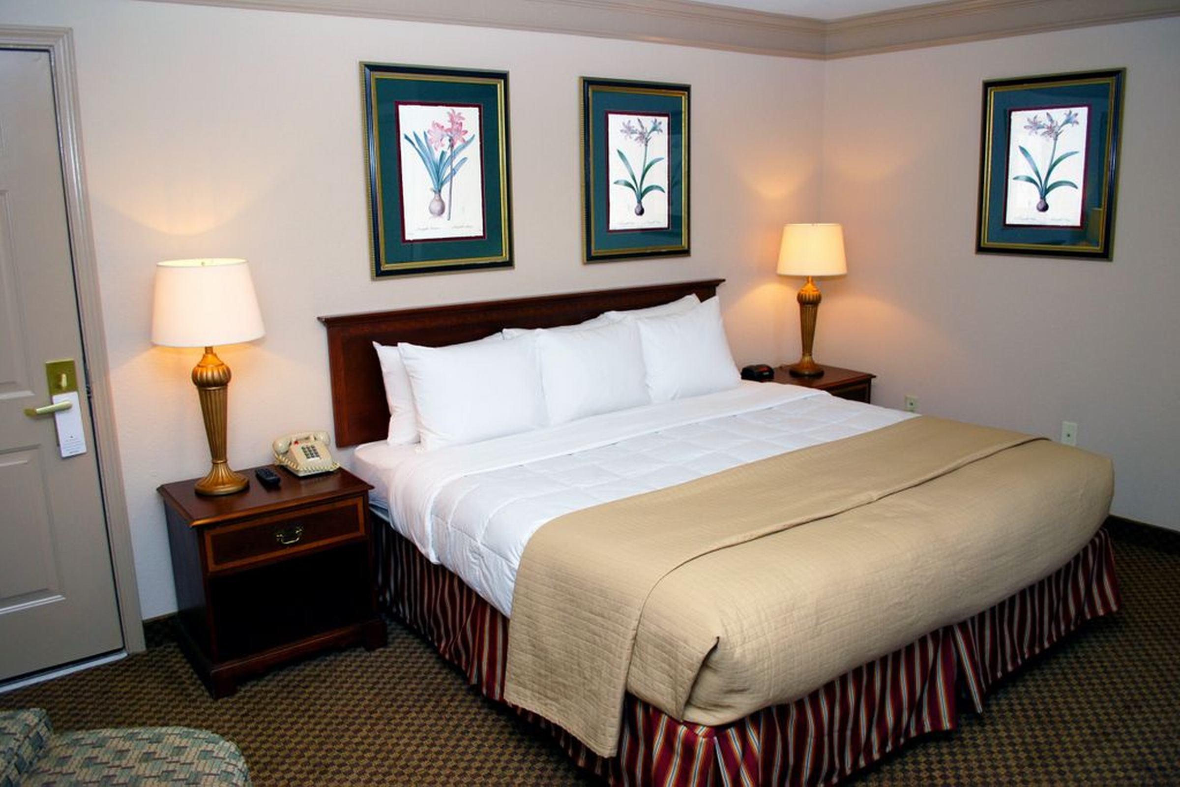 Clarion Inn & Suites Atlanta Downtown Extérieur photo