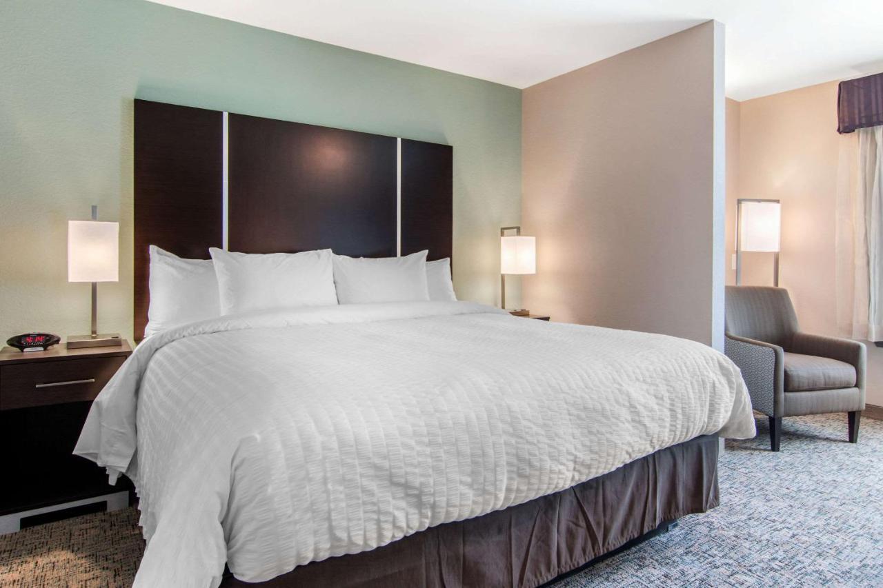 Clarion Inn & Suites Atlanta Downtown Extérieur photo